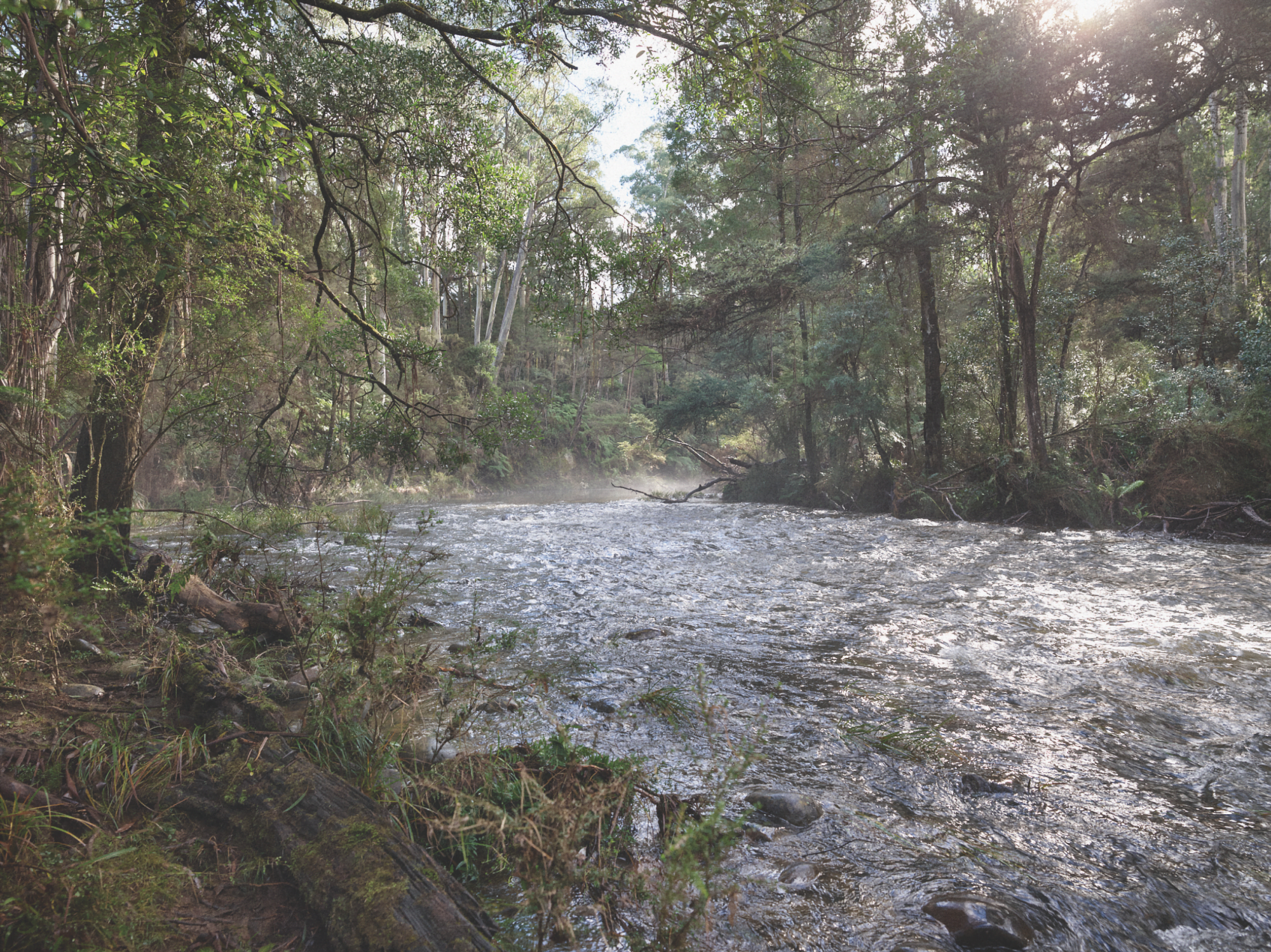 The Birrarung (Yarra River) flowing through Wurundjeri Country in Warburton